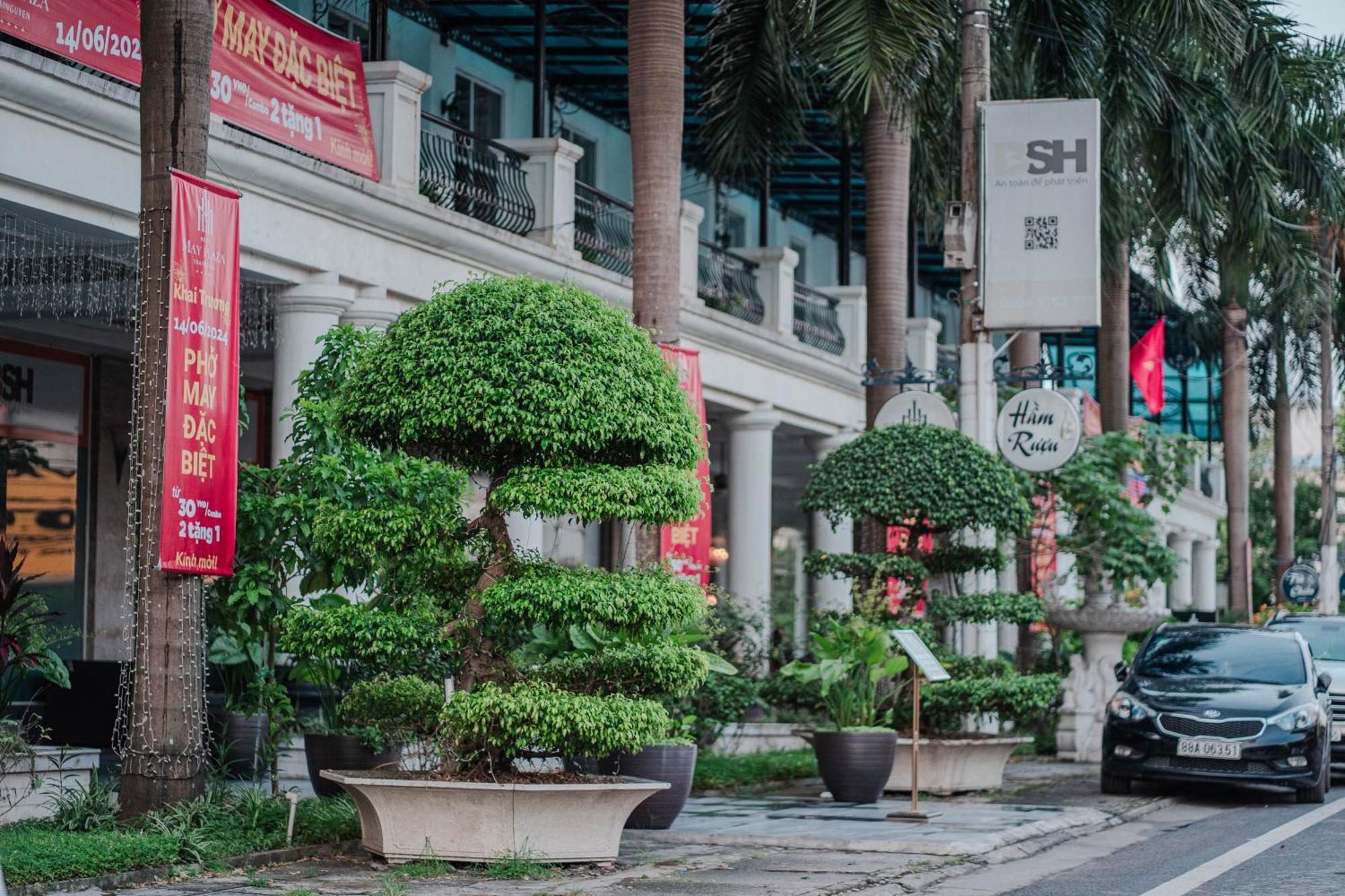 May Plaza Hotel Thái Nguyên 외부 사진