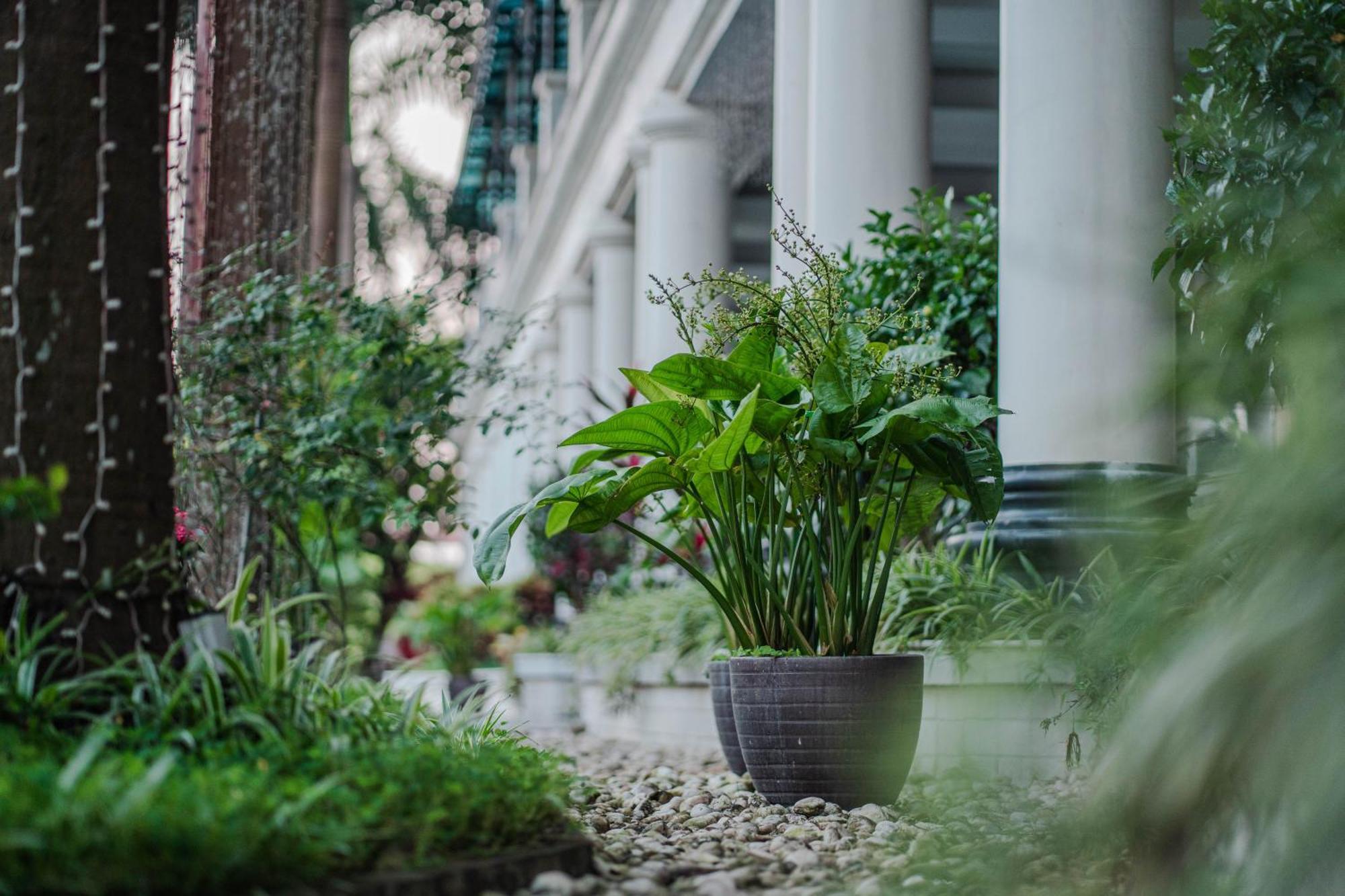 May Plaza Hotel Thái Nguyên 외부 사진